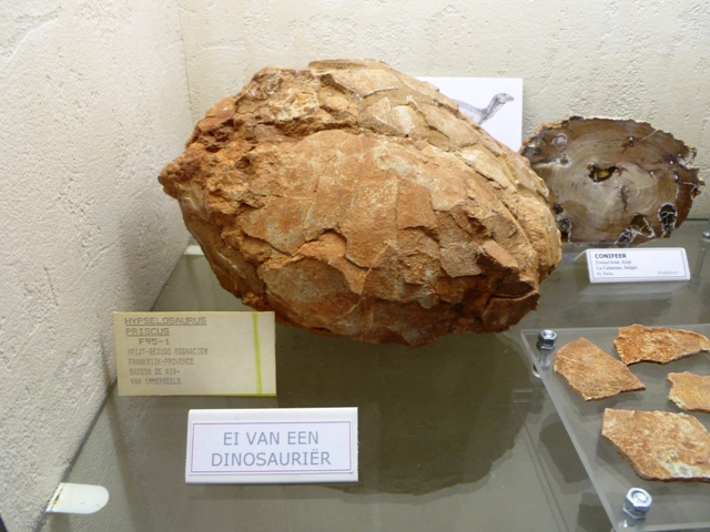 acam-koninklijke-academie-voor-mineralogie-paleontologie-hypselosaurus-priscus