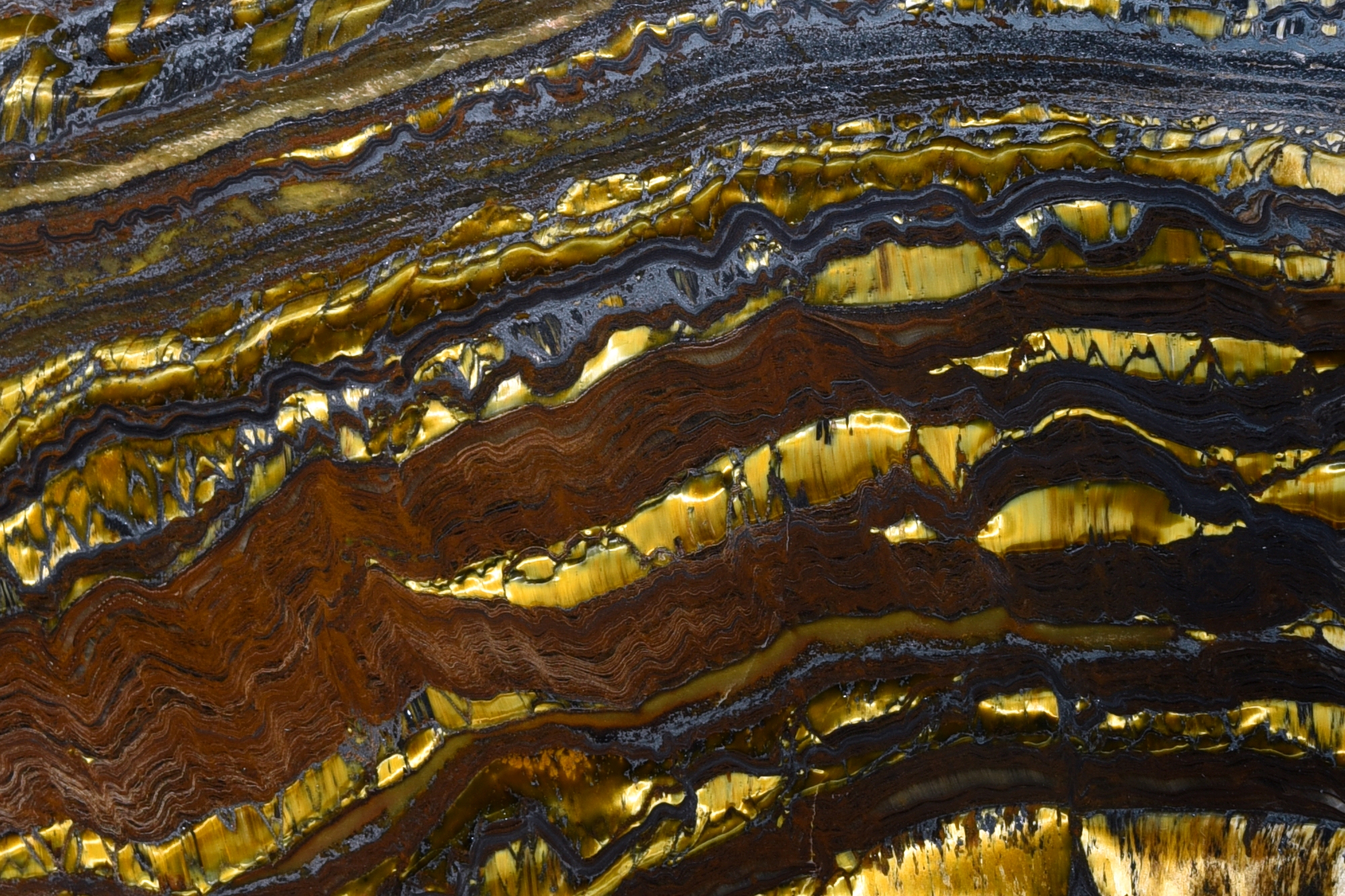 acam-koninklijke-academie-voor-mineralogie-collectie-fossielen-Stromatoliet-hematiet-jaspis-tijgeroog