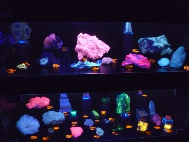 ACAM-Koninklijke-Academie-voor-Mineralogie-de-grootste-fluorescentievitrine-van-Europa