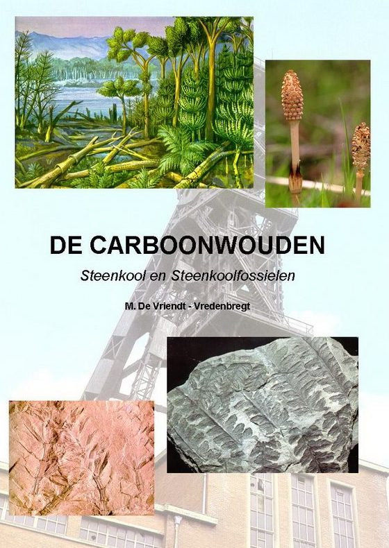 ACAM-publicatie-De-Carboonwouden-steenkool-en-steenkoolfossielen-De-Vriendt-Vredenbregt